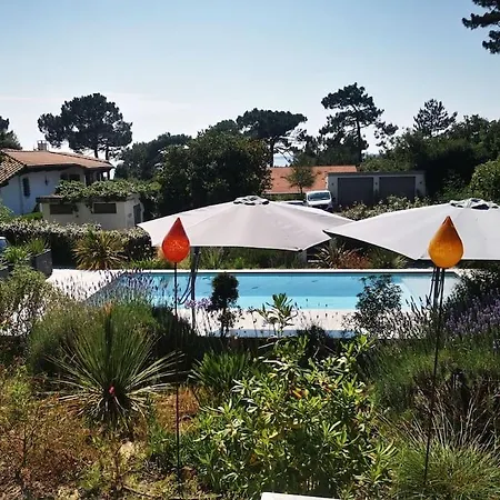 Vue Piscine
