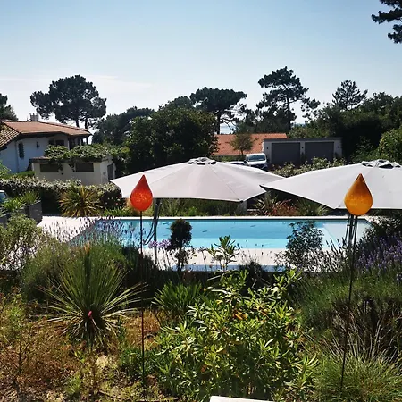 Vue Piscine *